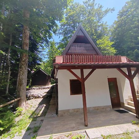Villa Koca Planika, Sviscaki Ilirska Bistrica Esterno foto