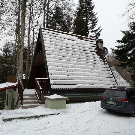 Villa Koca Planika, Sviscaki Ilirska Bistrica Esterno foto