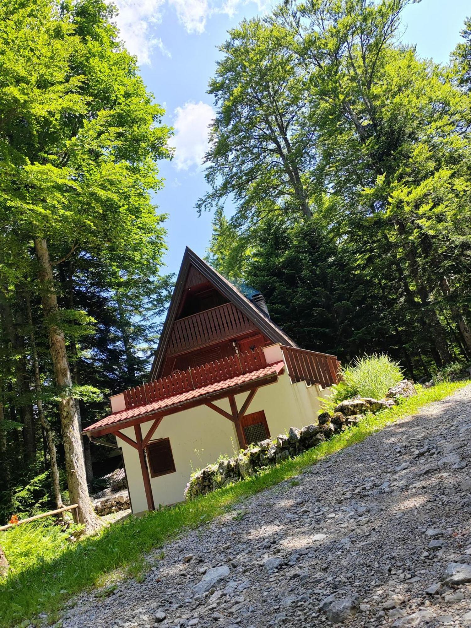 Villa Koca Planika, Sviscaki Ilirska Bistrica Esterno foto